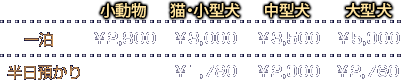 ƒzƒeƒ‹—¿‹à